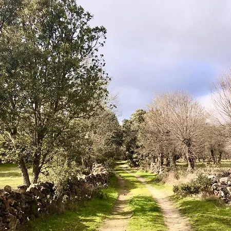 度假居 El Pajar De Abajo - Pedraza -