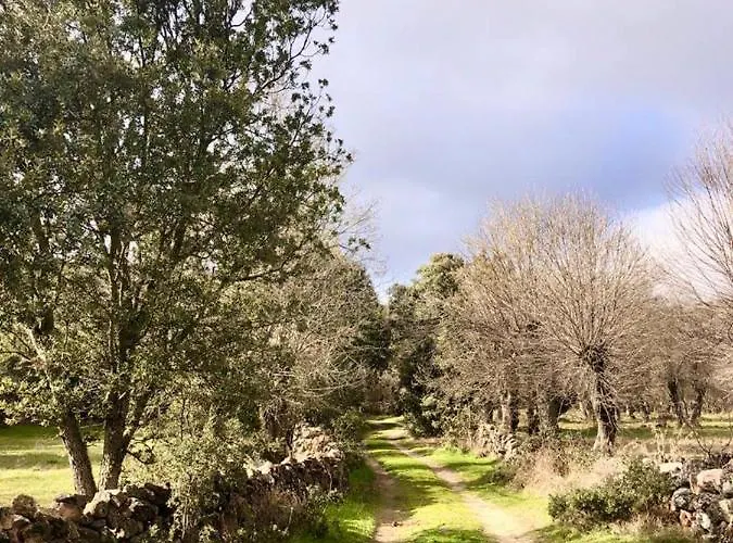 펜션 El Pajar De Abajo - Pedraza -