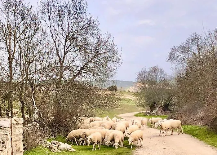 El Pajar De Abajo - Pedraza - *