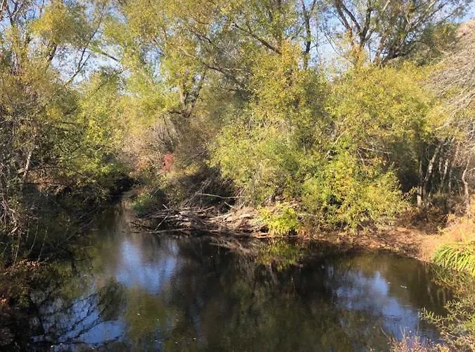El Pajar De Abajo - Pedraza - La Alameda